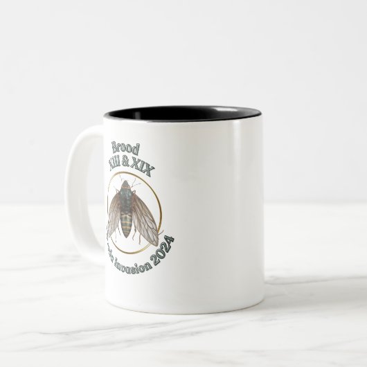 Cicada mok Cicada 2024 Brood XIII & XIX (Voorkant links)