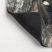 Cicada Muismat (Hoek)