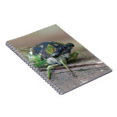 Cicada Notitieboek (Rechterzijde)