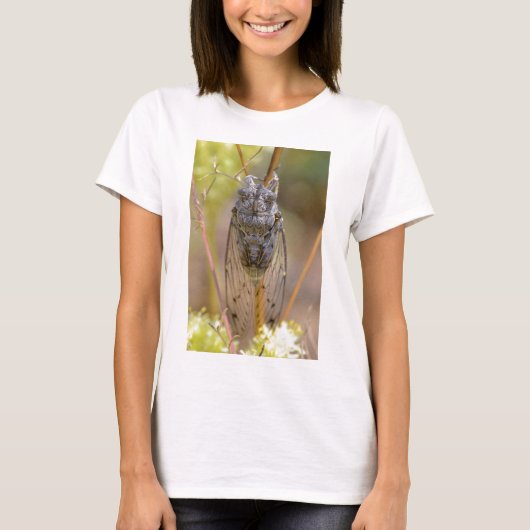 Cicada op stam t-shirt (Voorkant)