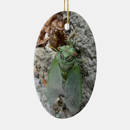 Cicada over de muur keramisch ornament (Rechts)