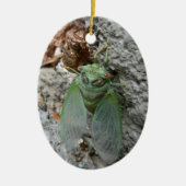 Cicada over de muur keramisch ornament (Voorkant)