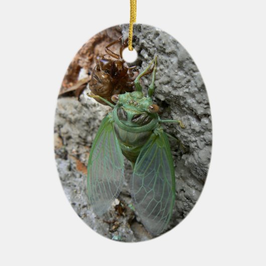 Cicada over de muur keramisch ornament (Voorkant)