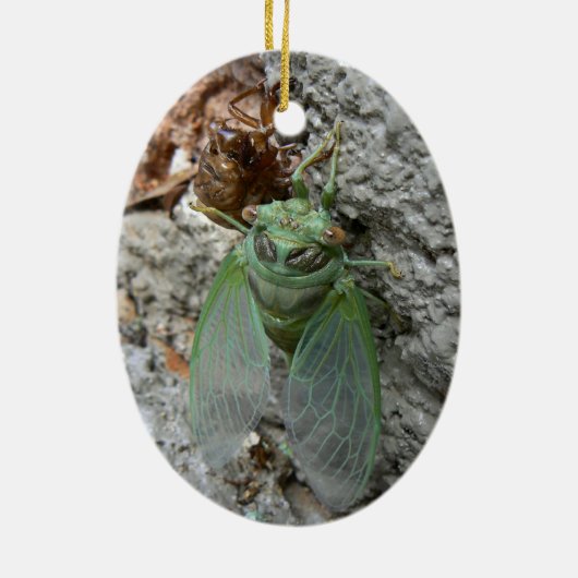 Cicada over de muur keramisch ornament (Achterkant)