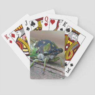 Cicada Pokerkaarten