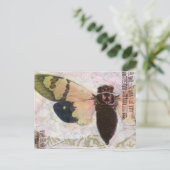 Cicada Post Card Briefkaart (Staand voorkant)