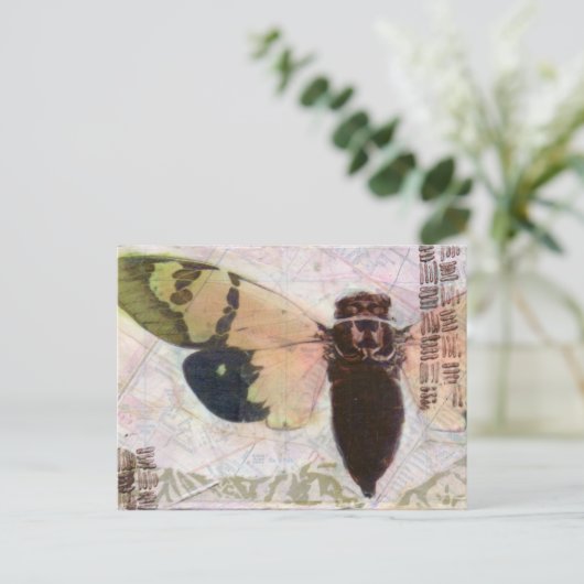 Cicada Post Card Briefkaart (Staand voorkant)