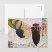 Cicada Post Card Briefkaart (Voorkant / Achterkant)