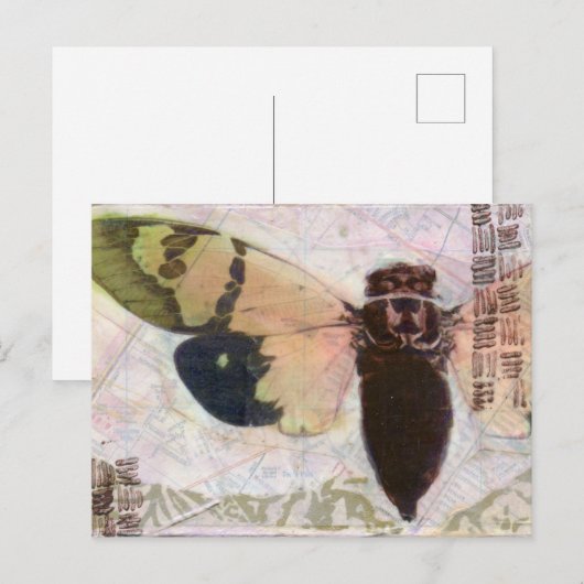Cicada Post Card Briefkaart (Voorkant / Achterkant)