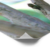 Cicada Poster (Hoek)