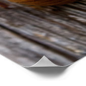 Cicada Poster (Hoek)