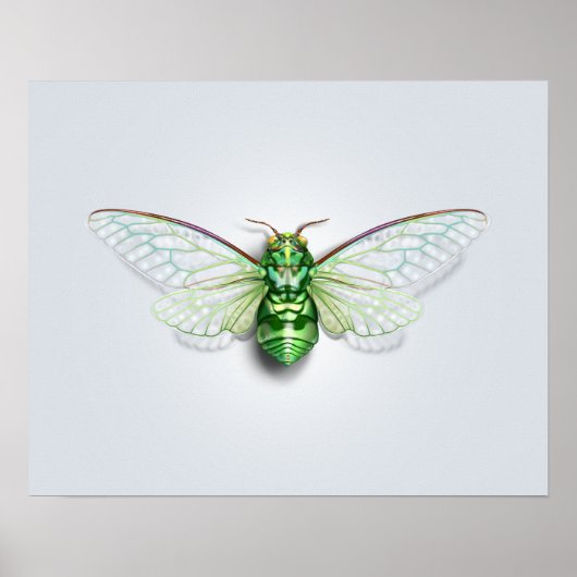 Cicada Poster (Voorkant)