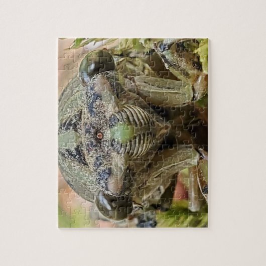 Cicada puzzle legpuzzel (Verticaal)
