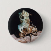 Cicada Ronde Button 5,7 Cm (Voorkant)