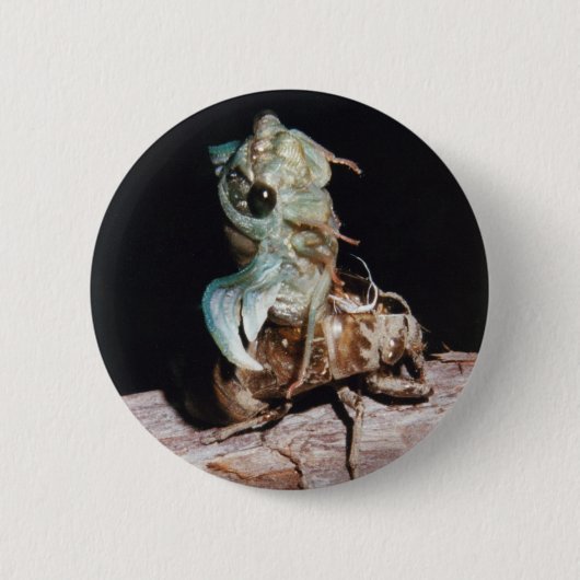 Cicada Ronde Button 5,7 Cm (Voorkant)