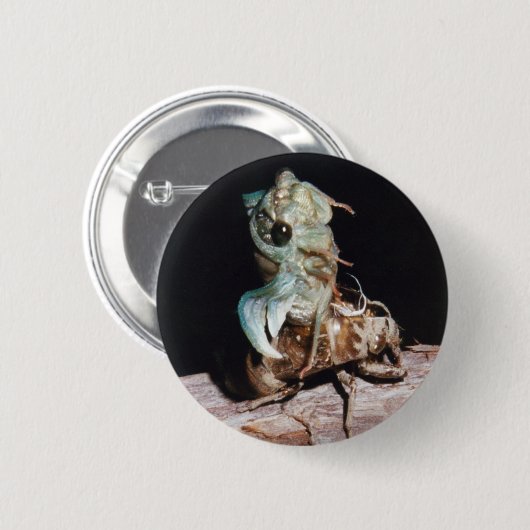 Cicada Ronde Button 5,7 Cm (Voorkant /achterkant)