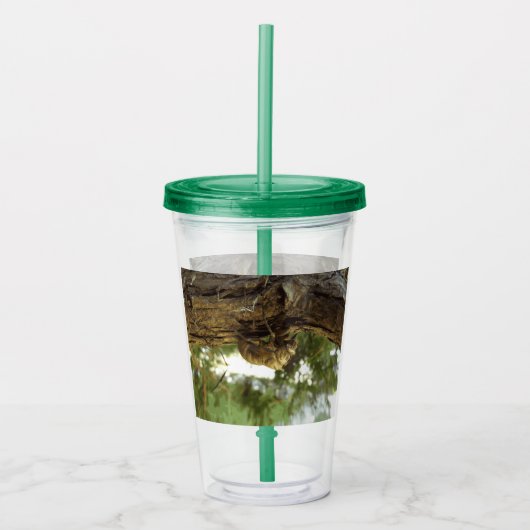 Cicada shell. Het was haast. Acryl Drinkbeker (Voorkant)