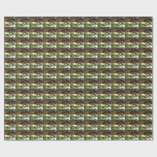 Cicada shell. Het was haast. Cadeaupapier (Vlak)