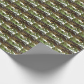 Cicada shell. Het was haast. Cadeaupapier (Hoek)