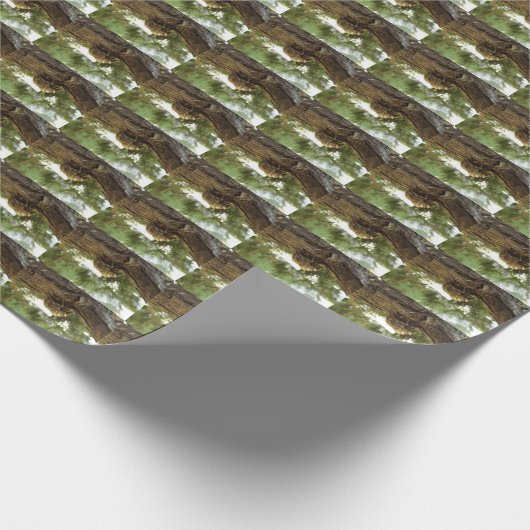 Cicada shell. Het was haast. Cadeaupapier (Hoek)