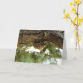 Cicada shell. Het was haast. Kaart (Gele Bloem)