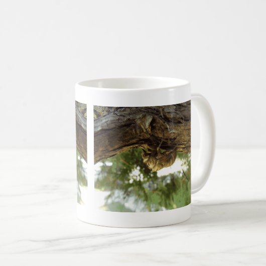 Cicada shell. Het was haast. Koffiemok (Voorkant rechts)