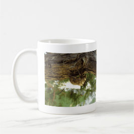 Cicada shell. Het was haast. Koffiemok