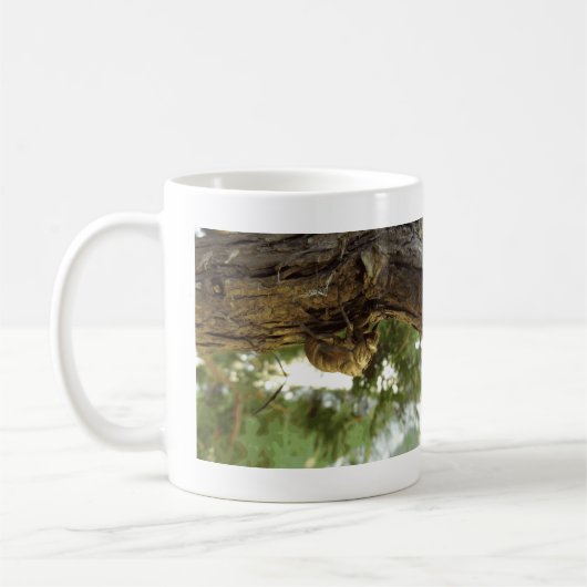 Cicada shell. Het was haast. Koffiemok (Links)