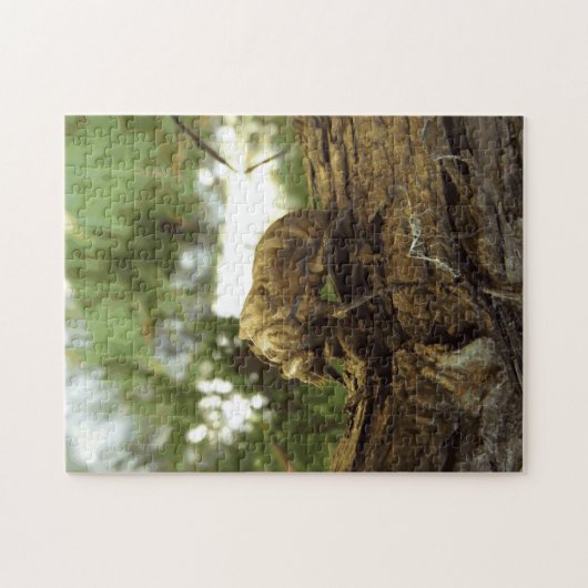 Cicada shell. Het was haast. Legpuzzel (Horizontaal)