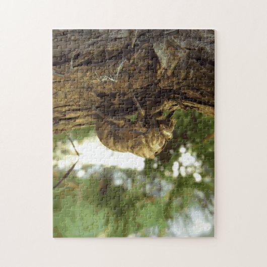 Cicada shell. Het was haast. Legpuzzel (Verticaal)