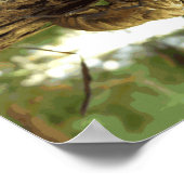 Cicada shell. Het was haast. Poster (Hoek)