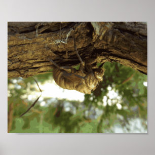 Cicada shell. Het was haast. Poster