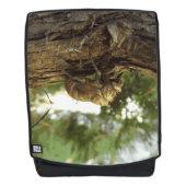 Cicada shell. Het was haast. Rugtassen (Voorkant)