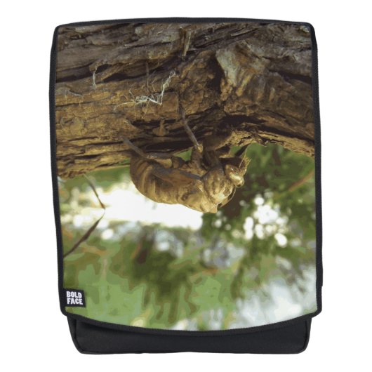 Cicada shell. Het was haast. Rugtassen (Voorkant)