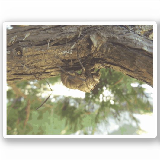 Cicada shell. Het was haast. Sticker (Voorkant)