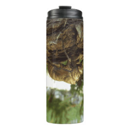 Cicada shell. Het was haast. Thermosbeker