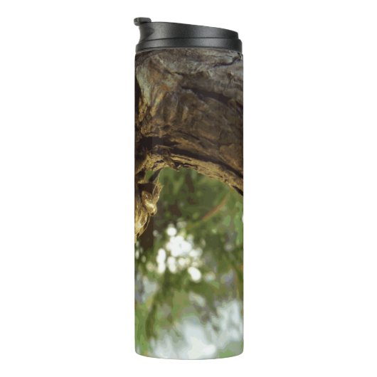 Cicada shell. Het was haast. Thermosbeker (Geroteerd rechts)