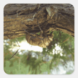 Cicada shell. Het was haast. Vierkante Sticker