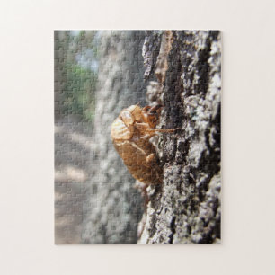 Cicada Shell Puzzle Legpuzzel