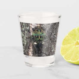 Cicada Shot Glass Shot Glas