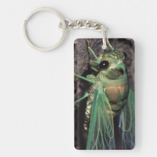 Cicada Sleutelhanger