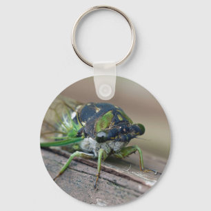 Cicada Sleutelhanger