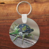 Cicada Sleutelhanger (Voorkant)