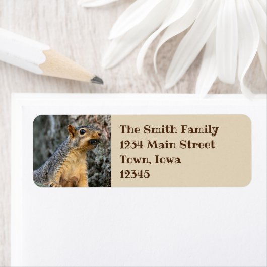 Cicada Snacker Etiket (Insitu)