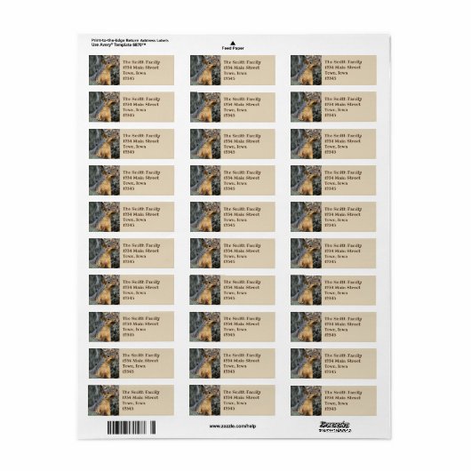 Cicada Snacker Etiket (Full Sheet)