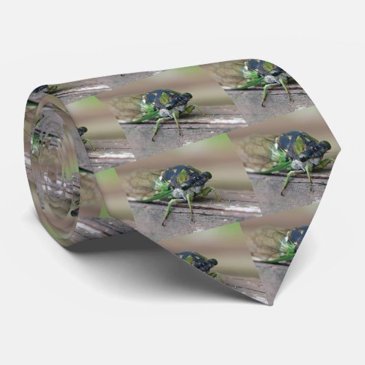 Cicada Stropdas (Opgerold)