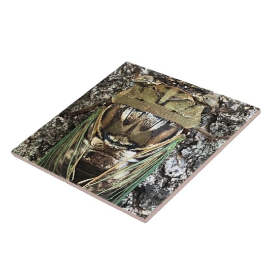 Cicada Tegeltje (Zijkant)