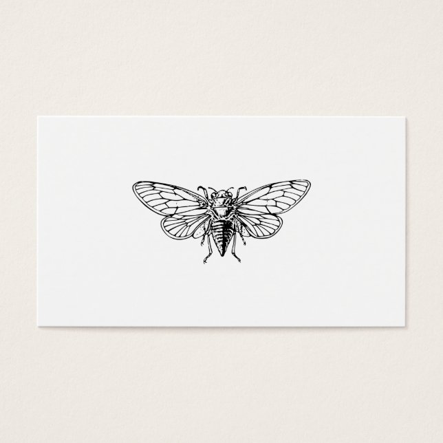 Cicada Visitekaartje (Voorkant)