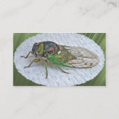 Cicada-Visitekaartje Visitekaartje (Achterkant)
