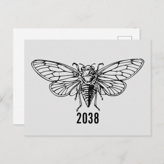 Cicadas 2038 briefkaart (Voorkant / Achterkant)